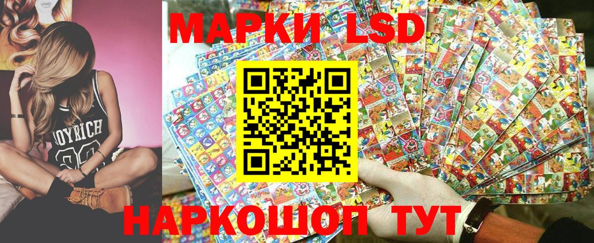 Наркотические марки 1500мкг  Наркотические марки 1500мкг  Гудермес  Вход с VPN 